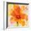 Bright Tulips II-Albena Hristova-Framed Premium Giclee Print