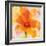 Bright Tulips II-Albena Hristova-Framed Premium Giclee Print