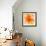 Bright Tulips II-Albena Hristova-Framed Premium Giclee Print displayed on a wall
