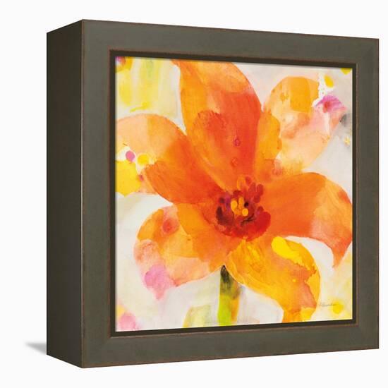 Bright Tulips II-Albena Hristova-Framed Stretched Canvas