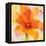 Bright Tulips II-Albena Hristova-Framed Stretched Canvas