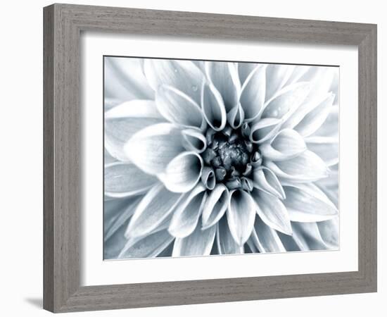 Bright White Bloom-Susan Bryant-Framed Art Print