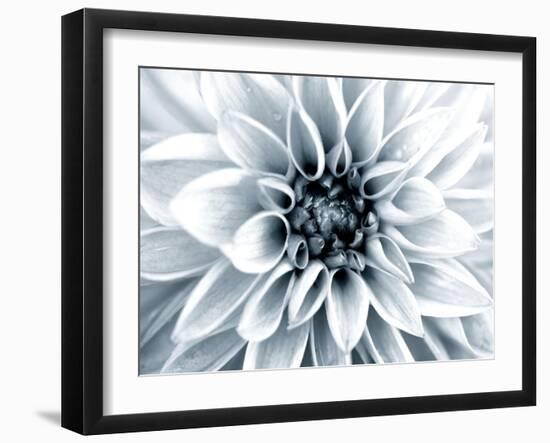 Bright White Bloom-Susan Bryant-Framed Art Print