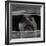 Brightbug-Fabio Panichi-Framed Photographic Print