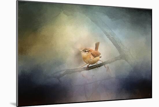 Brighten My World Wren-Jai Johnson-Mounted Giclee Print