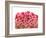 Brightly Blooming-Natasha Wescoat-Framed Giclee Print