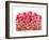 Brightly Blooming-Natasha Wescoat-Framed Giclee Print