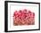 Brightly Blooming-Natasha Wescoat-Framed Giclee Print