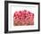 Brightly Blooming-Natasha Wescoat-Framed Giclee Print