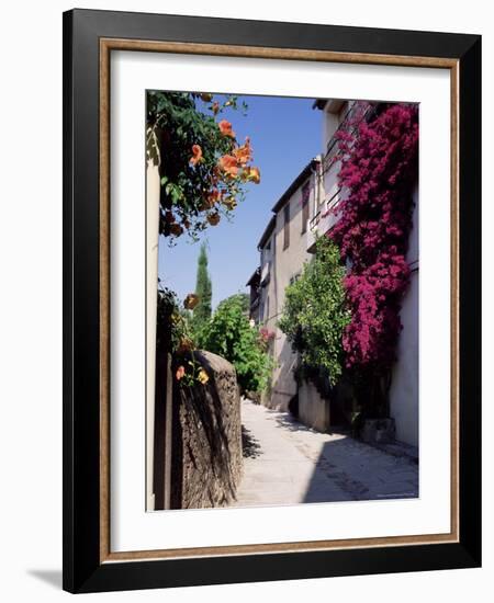 Brightly Coloured Flowers in Village Street, Grimaud, Var, Cote d'Azur, Provence, France, Europe-Ruth Tomlinson-Framed Photographic Print