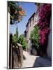 Brightly Coloured Flowers in Village Street, Grimaud, Var, Cote d'Azur, Provence, France, Europe-Ruth Tomlinson-Mounted Photographic Print