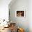 Brightly Dyed Wool Hanging from Roof of a Shop, Marrakech, Morrocco, North Africa, Africa-John Miller-Framed Photographic Print displayed on a wall