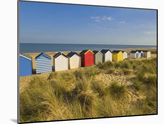 Brightly Painted Beach Huts, Rear View, in Afternoon Sunshine Below Gun Hill, Suffolk, England-Neale Clark-Mounted Photographic Print