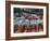 Brightly Painted Boats, Xochimilco, Trajinera, Floating Gardens, Canals, UNESCO World Heritage Site-Wendy Connett-Framed Photographic Print