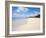 Brighton Beach, Barbados, Windward Islands, West Indies, Caribbean, Central America-Michael DeFreitas-Framed Photographic Print