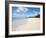 Brighton Beach, Barbados, Windward Islands, West Indies, Caribbean, Central America-Michael DeFreitas-Framed Photographic Print