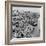 Brighton, East Sussex, 1962-Staff-Framed Photographic Print