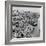 Brighton, East Sussex, 1962-Staff-Framed Photographic Print