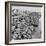 Brighton, East Sussex, 1962-Staff-Framed Photographic Print