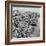 Brighton, East Sussex, 1962-Staff-Framed Photographic Print