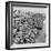 Brighton, East Sussex, 1962-Staff-Framed Photographic Print