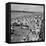 Brighton, East Sussex, 1962-Staff-Framed Premier Image Canvas