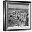 Brighton, East Sussex, 1962-Staff-Framed Photographic Print