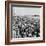 Brighton, East Sussex, 1962-Staff-Framed Photographic Print