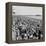 Brighton, East Sussex, 1962-Staff-Framed Premier Image Canvas