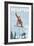 Brighton Resort, Utah - Snowboarder Jumping-Lantern Press-Framed Art Print
