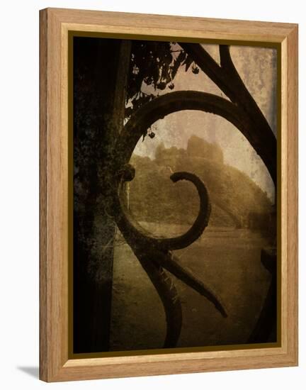 Brightspace-Tim Kahane-Framed Premier Image Canvas