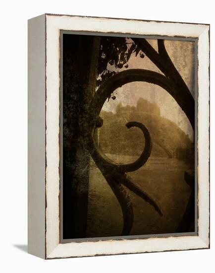 Brightspace-Tim Kahane-Framed Premier Image Canvas