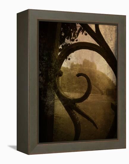 Brightspace-Tim Kahane-Framed Premier Image Canvas