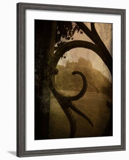 Brightspace-Tim Kahane-Framed Photographic Print