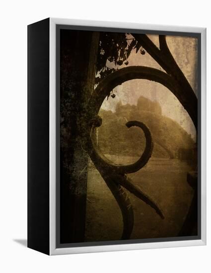 Brightspace-Tim Kahane-Framed Premier Image Canvas