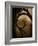 Brightspace-Tim Kahane-Framed Photographic Print