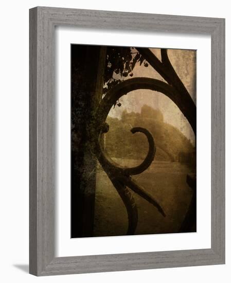 Brightspace-Tim Kahane-Framed Photographic Print