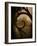 Brightspace-Tim Kahane-Framed Photographic Print