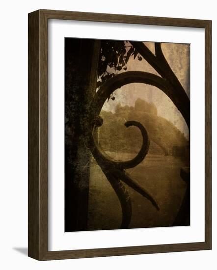 Brightspace-Tim Kahane-Framed Photographic Print