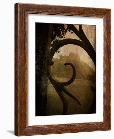 Brightspace-Tim Kahane-Framed Photographic Print