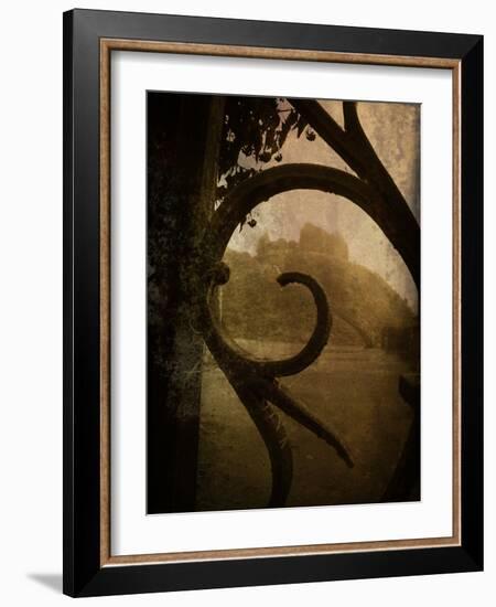 Brightspace-Tim Kahane-Framed Photographic Print