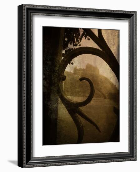 Brightspace-Tim Kahane-Framed Photographic Print