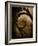 Brightspace-Tim Kahane-Framed Photographic Print