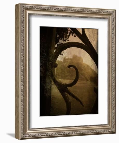 Brightspace-Tim Kahane-Framed Photographic Print