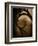 Brightspace-Tim Kahane-Framed Photographic Print