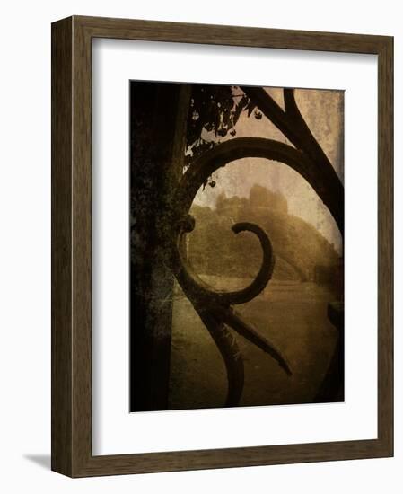 Brightspace-Tim Kahane-Framed Photographic Print