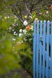 Blue Wooden Door in the Allotment Garden-Brigitte Protzel-Photographic Print