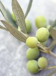 Sweet Chestnuts with Leaves-Brigitte Sporrer-Framed Photographic Print