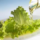 Oil Running onto Lettuce Leaves-Brigitte Wegner-Mounted Photographic Print