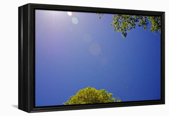 Brilliant Blue Sky-null-Framed Stretched Canvas